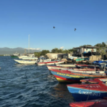 McKenzie...we can utilise Jamaica's strategic geographic location in the Caribbean to establish a regional sustainable finance hub focus on blue, green and climate financing opportunities align with sustainable development goals