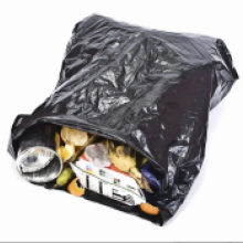 Bag Ban